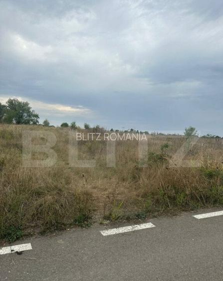 Teren intravilan/extravilan, 1500 mp, Cazaci Teren intravilan/extravilan, 1500 mp, Cazaci