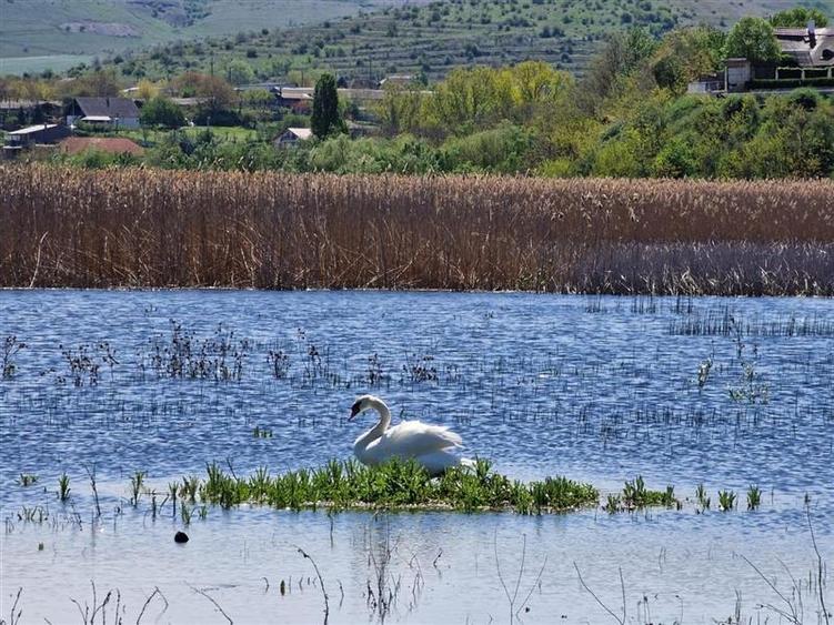 Teren cu deschidere la lac de vanzare in localitatea Somova Tulcea - 9