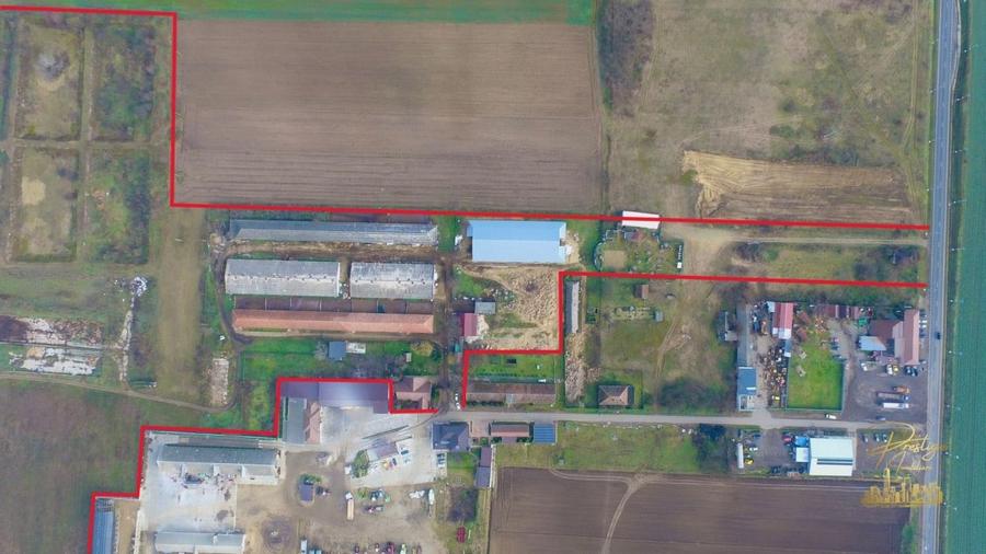 Domeniu - Centru de colectare, 7 ha de vanzare in Valea lui Mihai - 10