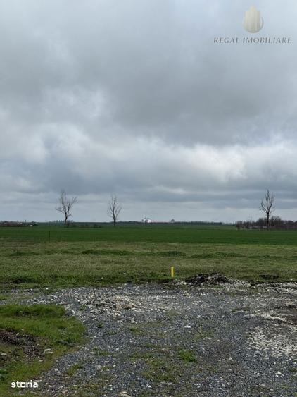 Teren Frumusani Gaz- Curent 400 mp | D.N. 4 - 10