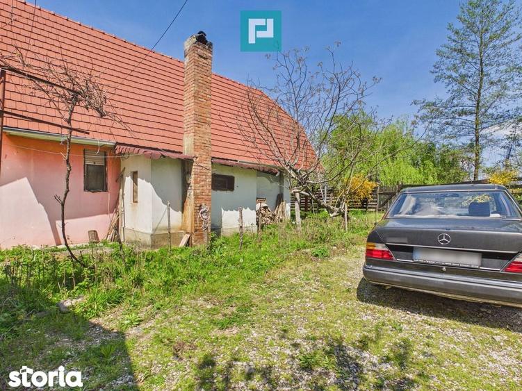 Casa Campani, 8000 mp teren, la poalele Apusenilor - 14