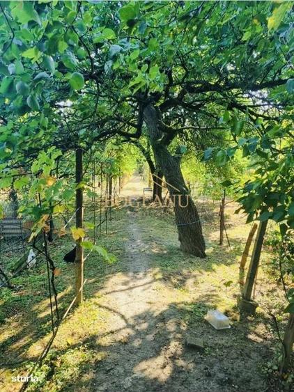 BG131-Teren: 2.822 mp pentru Proiect Imobiliar Premium COMISION 0% - 4