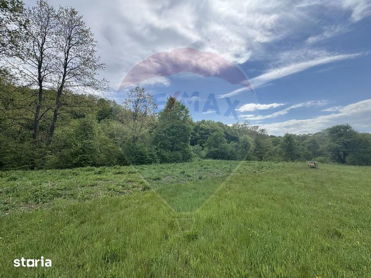Proprietate OFF-GRID 5,76 Ha. Casa tradi?ionala lemn. Limita Cluj - 6
