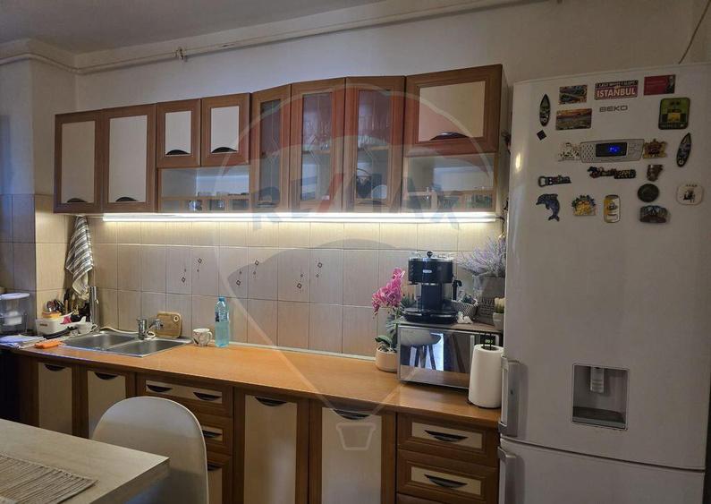 Casa / Vila cu 5 camere de vanzare in zona George Enescu - 14