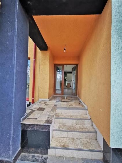 Vila Deosebita Rudicica - 18