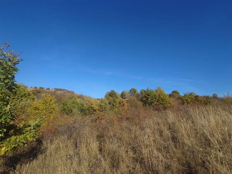 Teren extravilan de 12166 mp, în Vălișoara