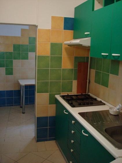 Inchiriere Vila P+M, Stirbei Voda-Parcul Cismigiu-Hotel Hilton Athenee Palace - 6