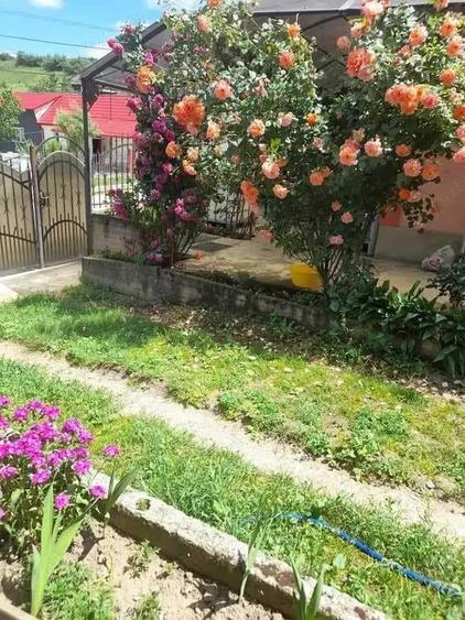 vand casa cu gradina in bontida - 5