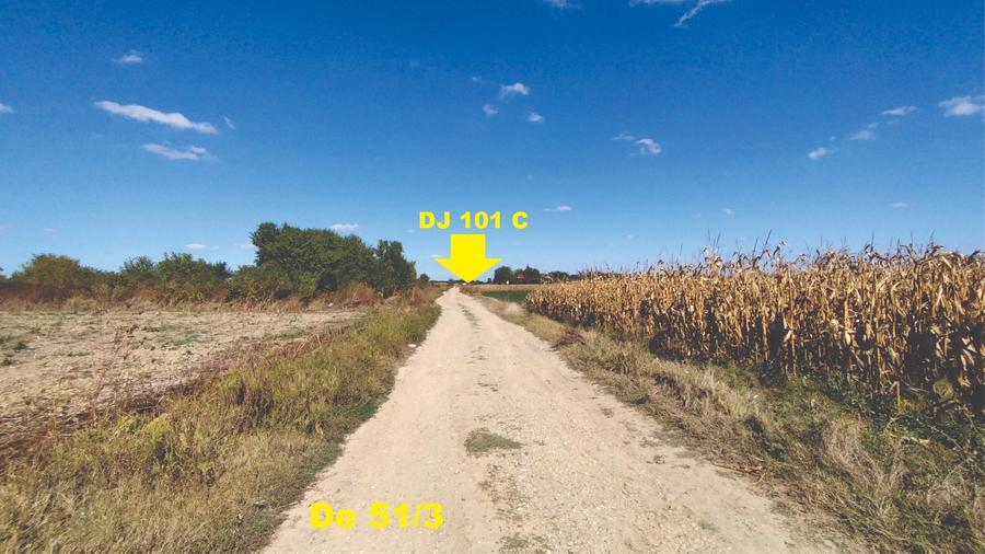 Vanzare teren 4400 mp Snagov - Gruiu, cu deschidere la lacul Snagov - 3