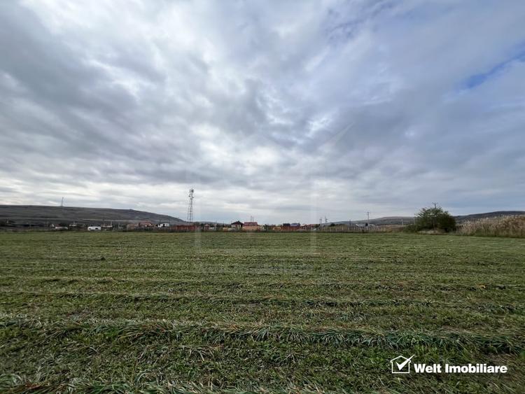 Teren 26.000mp, halta Rascruci drum european E576, jud. Cluj - 2