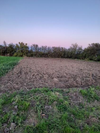 Teren intravilan Plataresti 1500 mp - 3