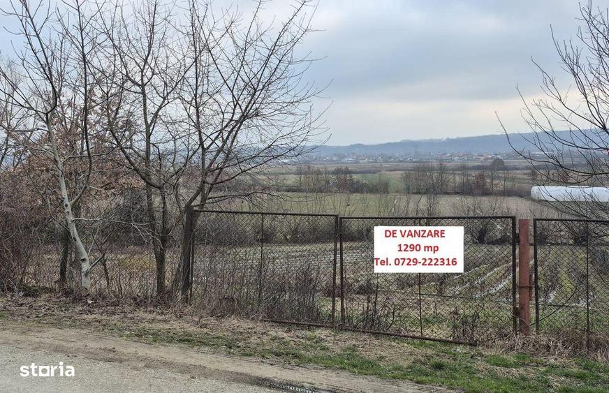 Teren de vanzare, 1290 mp, Coltau Maramures - 1