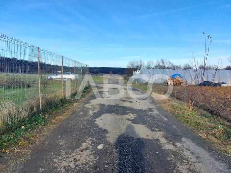 Teren intravilan 1687 mp pentru cabana zona de gradini Cisnadie - 2