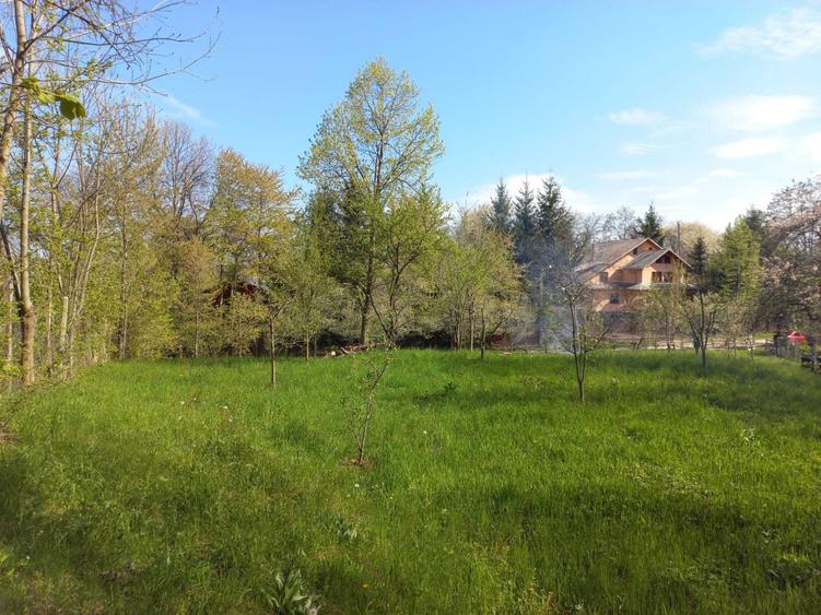 Teren de vanzare - 3