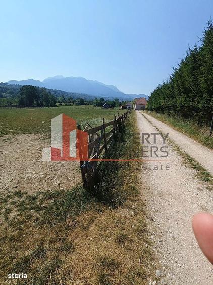 Teren 1.500 mp Sohodol Bran Vedere Panoramica Bucegi - 1