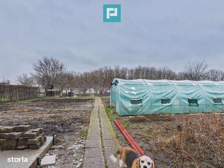 Casa cu 2 corpuri si 5 camere in Livada - 5