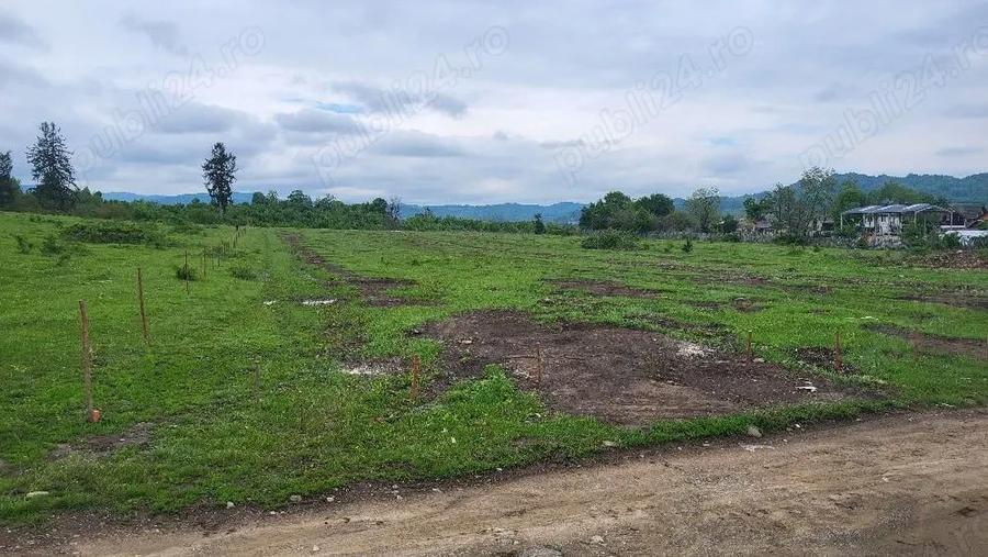 7500mp, intravilan, Voila, Campina - 9
