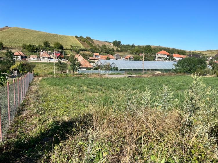 Teren intravilan  1303 mp - 2