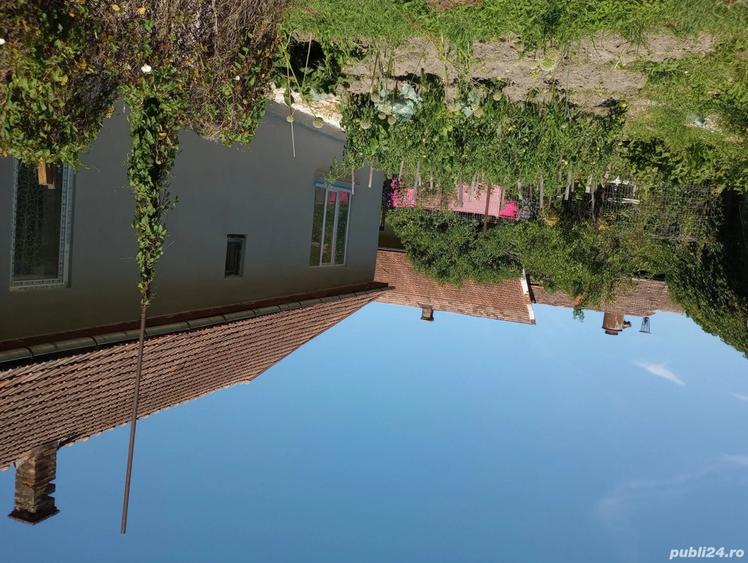 Vand casa dominanta - 10