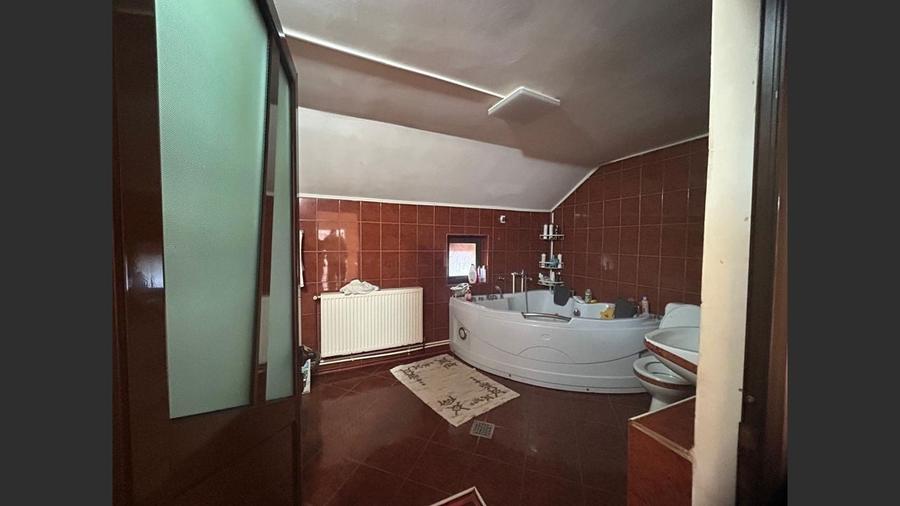 Proprietate cu doua imobile, com Dragutesti. Comision 0% - 9