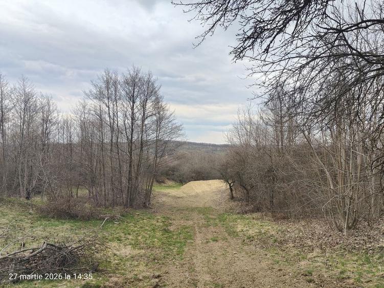 Teren extravilan Sibiel - Fantanele , vedere panoramica - 6