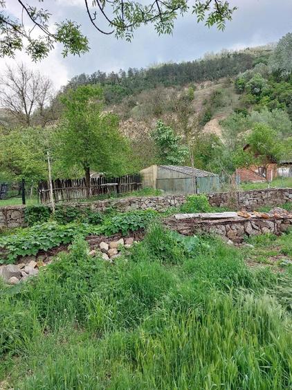 Casa de vanzare in Cara? Severin - 6