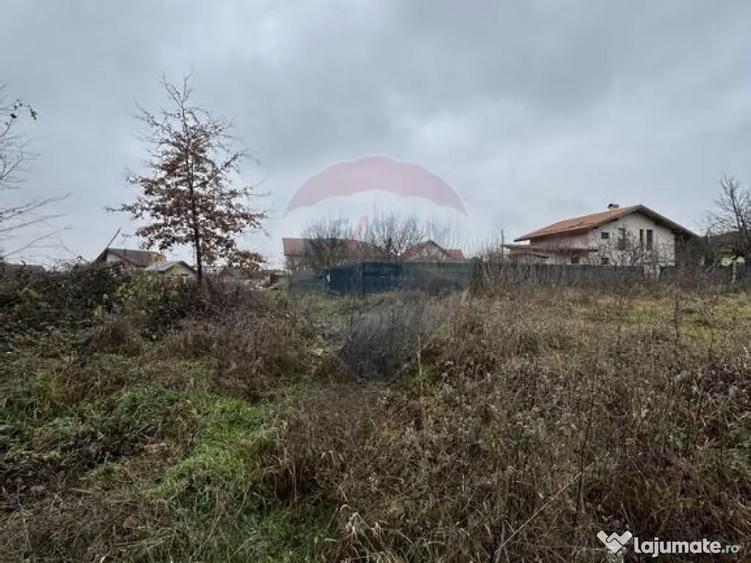 Teren 1,200mp si 400m2 cota drum Satu Nou de Jos / Strada... - 7