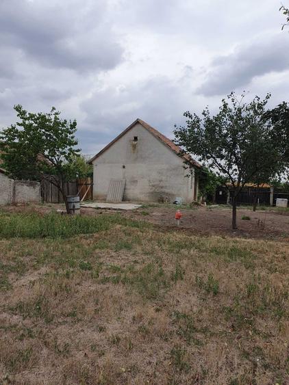 Casa de vanzare in Santana +teren agricol extravilan - 4