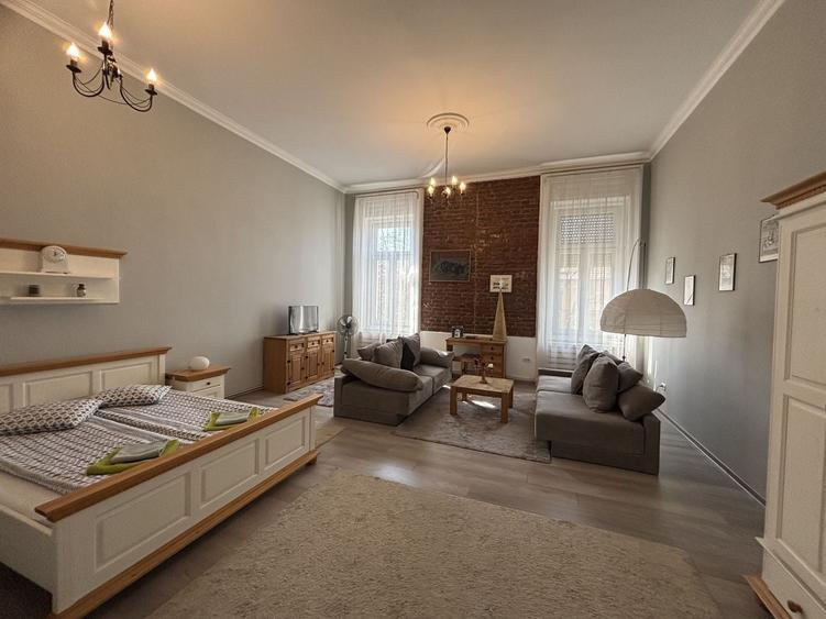 Apartament cu o camera în clădire istorică ,zona Maria - 1