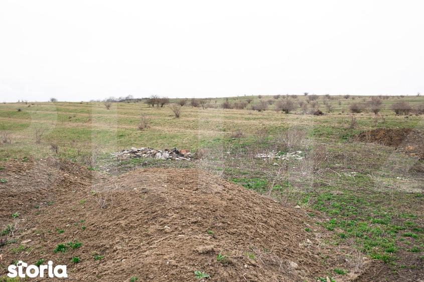 Teren 5800 mp in Campenesti cadru natural deosebit, ideal pentru i - 5