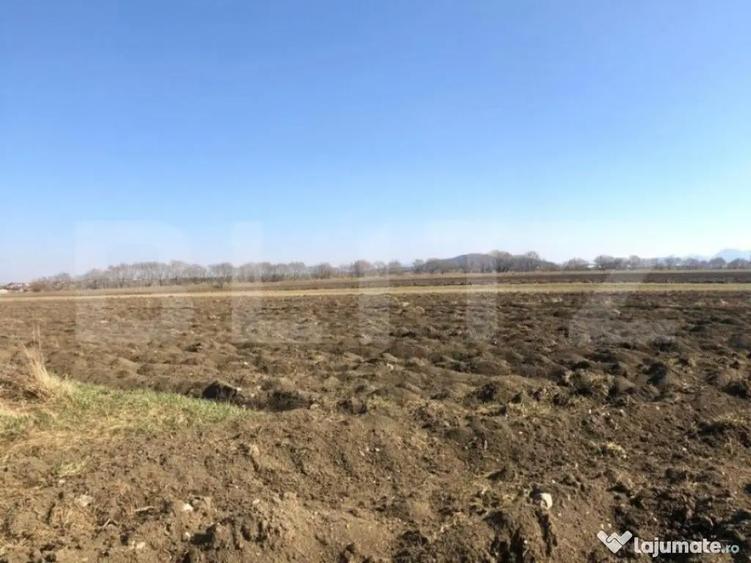 Teren intravilan 10000mp, Bod - 2