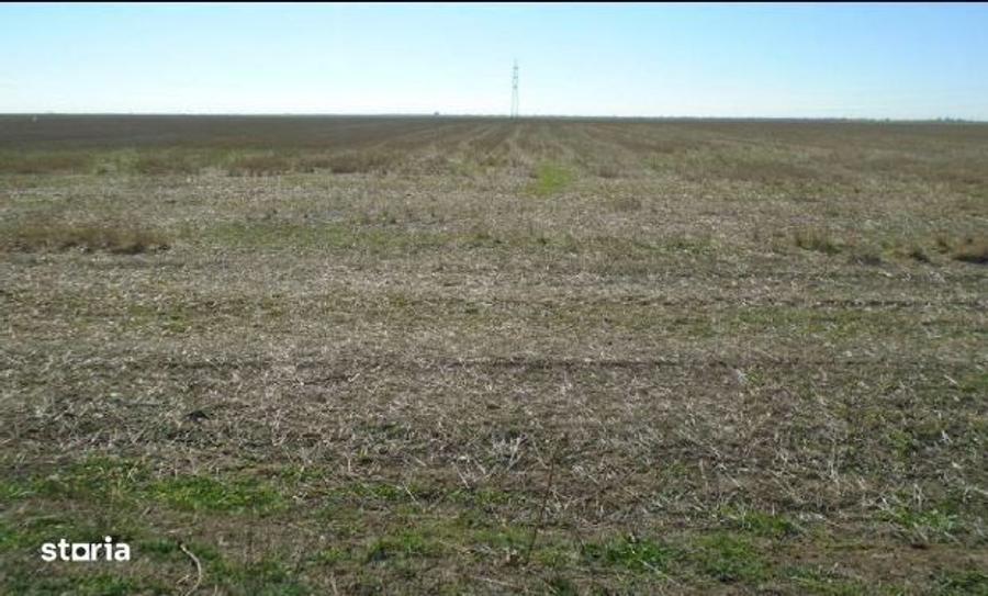 cota de 3/32 teren extravilan-Loc Cateasca, jud. Arges - 3