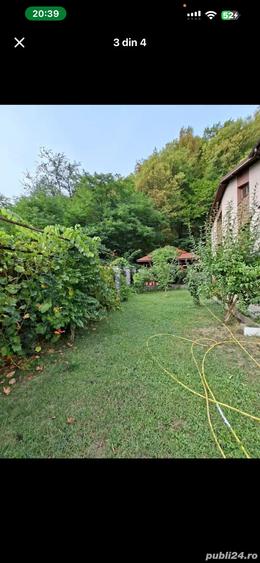 Vand Casa in Pausa Calimanesti - 4