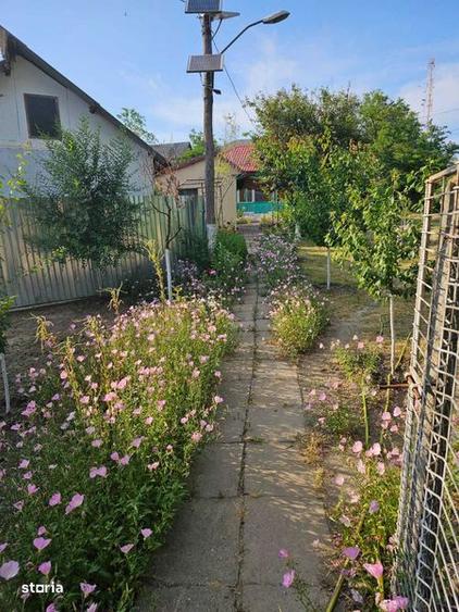 Casa dispunere centrala in OANCEA ! - 1