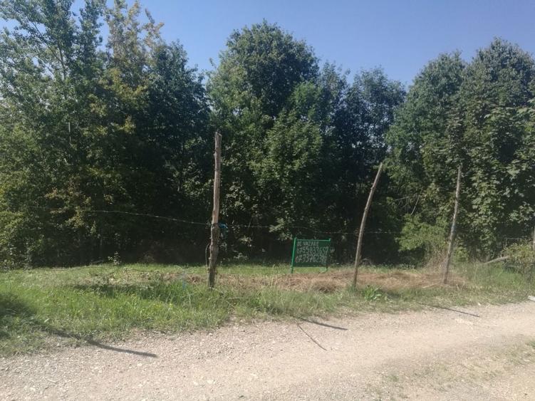 Vand 740 mp teren la Bran - 1