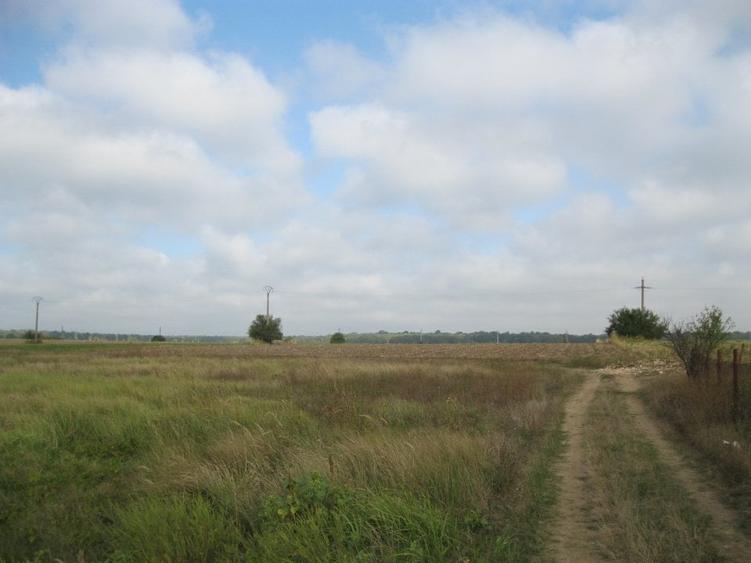 Proprietar,VandTeren10100mpDes43Utilitati150m*INVESTITIE PROIECT CASE*INTRAVILAN - 7