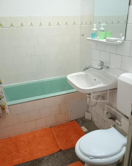 Inchiriez apartament 2 camere bd Ion Mihalache - 3