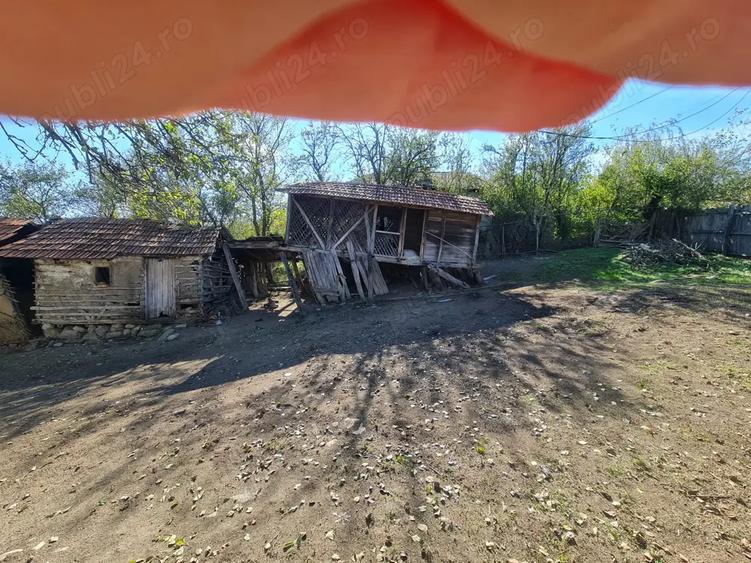 Casa si pamant agricol de vanzare - 9