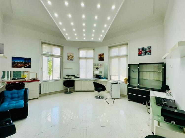 Armeneasca - Pache Protopopescu apartament in vila arhitectura deosebita - 11