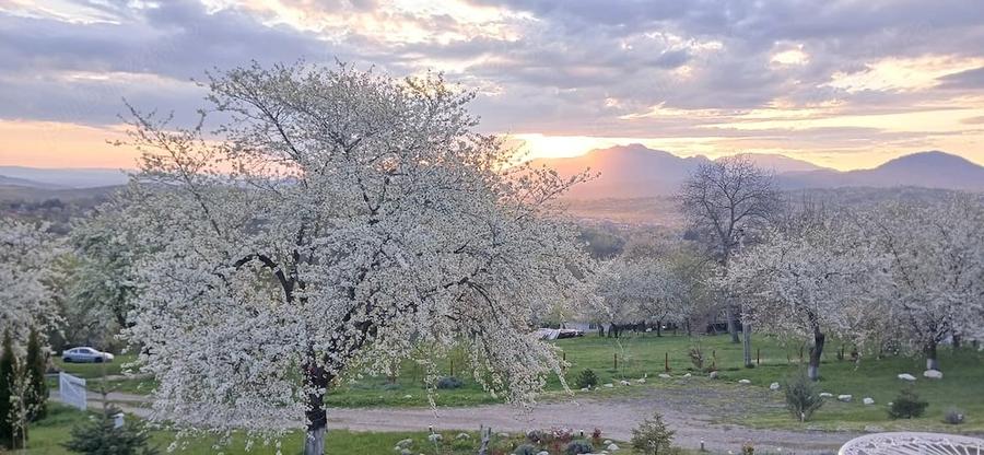 Casă cu Teren 2306 Mp în Predeluț