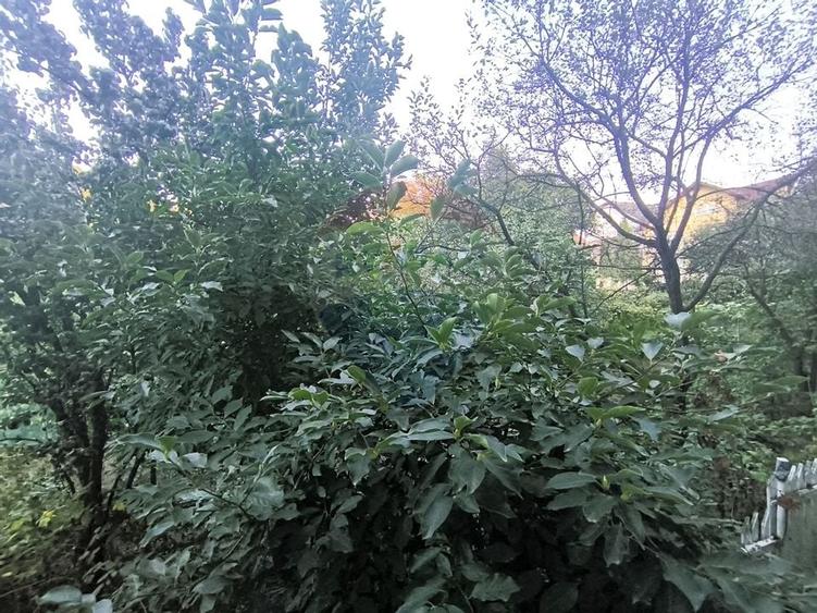 Apartament 4 camere de închiriat în zona Zorilor - 15