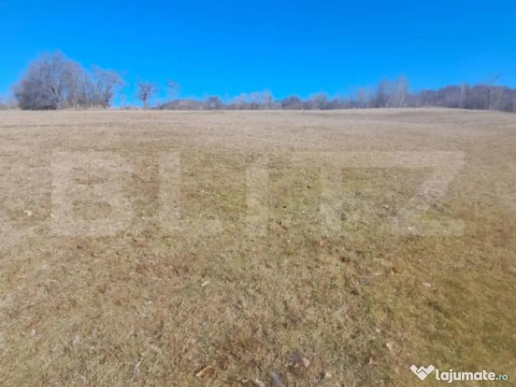 Teren intravilan, perfect pentru casa de vacanta, 5000 mp, A - 2