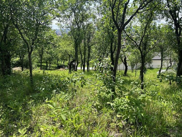 1258 mp, Strada Viilor, Baia Mare, 2 parcele alaturate, 125 000 - 7