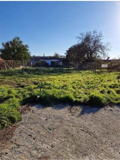 TEREN INTRAVILAN  |  MURFATLAR  |  CONSTANTA - 4