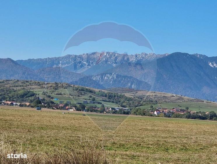 Teren Tohanu Nou, intrare Sohodol, 4800mp - 3