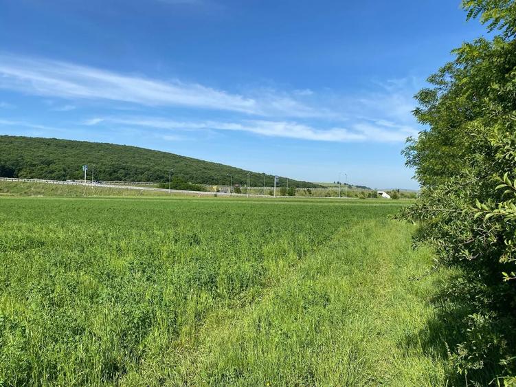 Vand teren benzinarie/servicii langa autostrada la Apoldu De Jos - 5