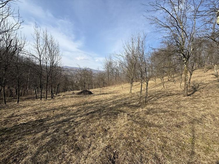 Teren intravilan 2788 mp deschidere 55 ml cu vedere panoramica ! - 6