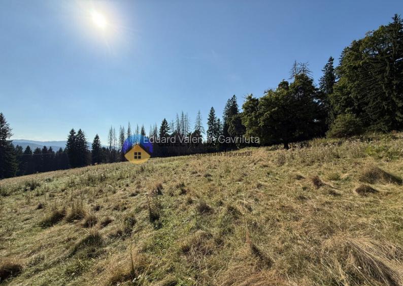 Teren de vanzare 5000 mp Piatra Neam? Teren de vanzare 5000 mp Piatra Neam?