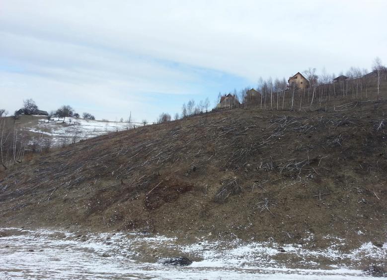 Moeciu, Drumul Carului, teren 3750 mp, 75000 euro - 11