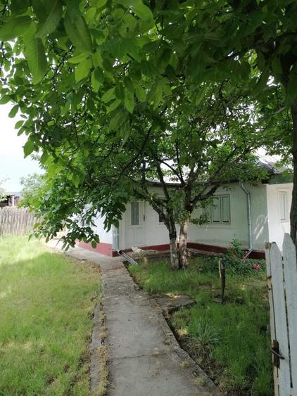 Casa + teren intravilan - 1